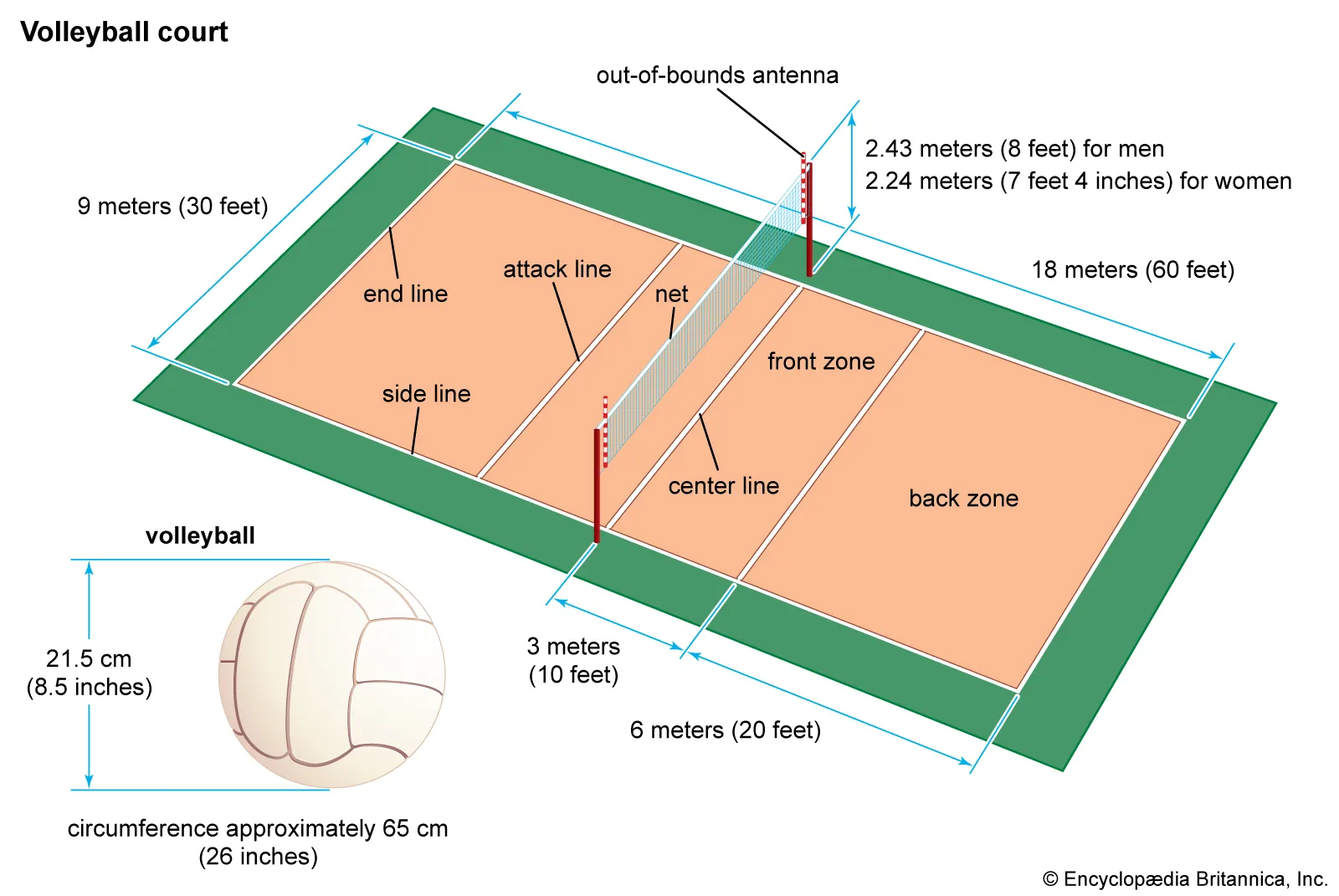 Entenda tudo sobre voleibol altura da rede e melhore seu jogo!