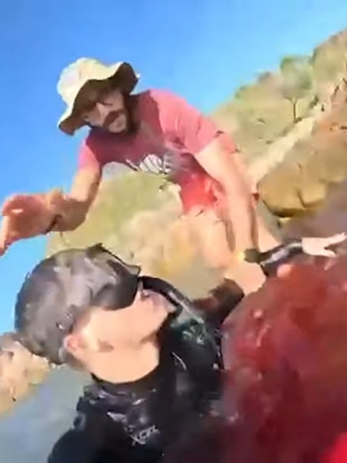 Matteo Mariotti video: Jovem italiano atacado por tubarão, o que se sabe?