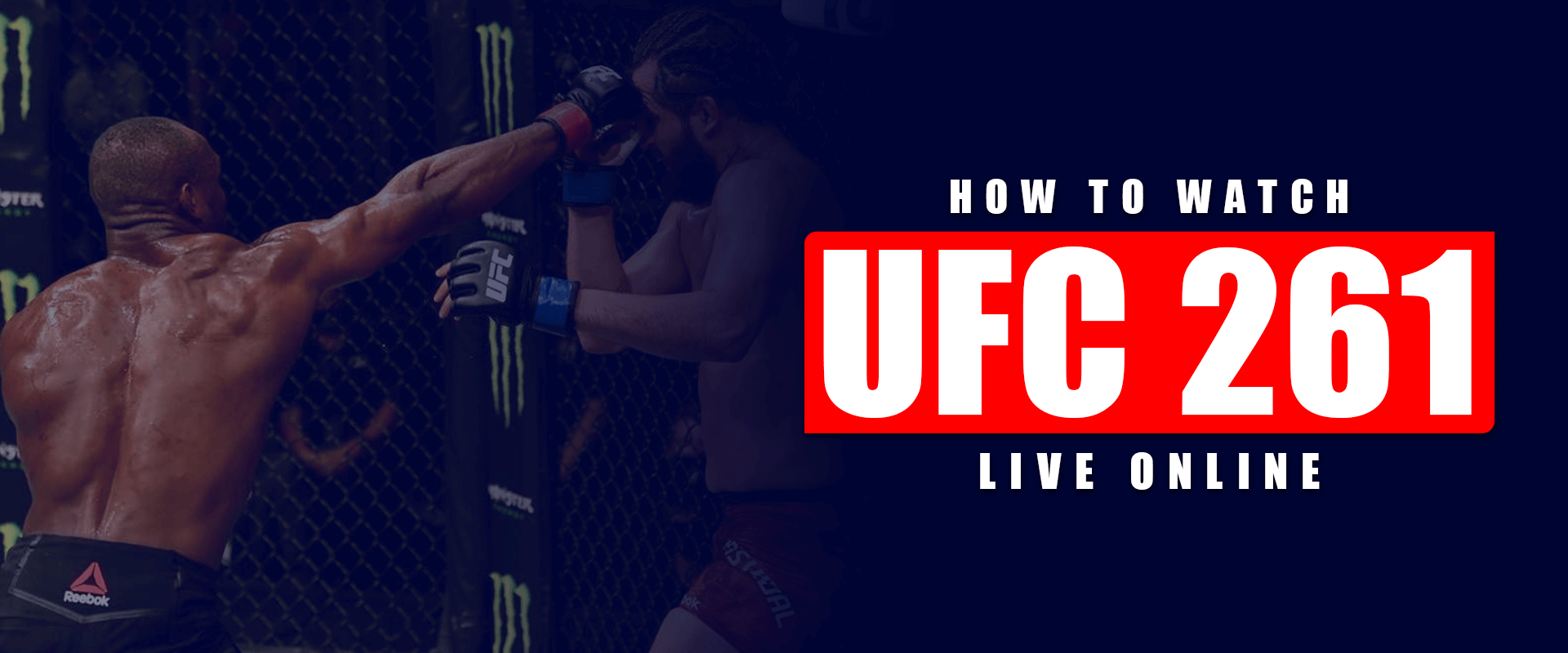 Como ver ufc online gratis? Guia completo para fãs