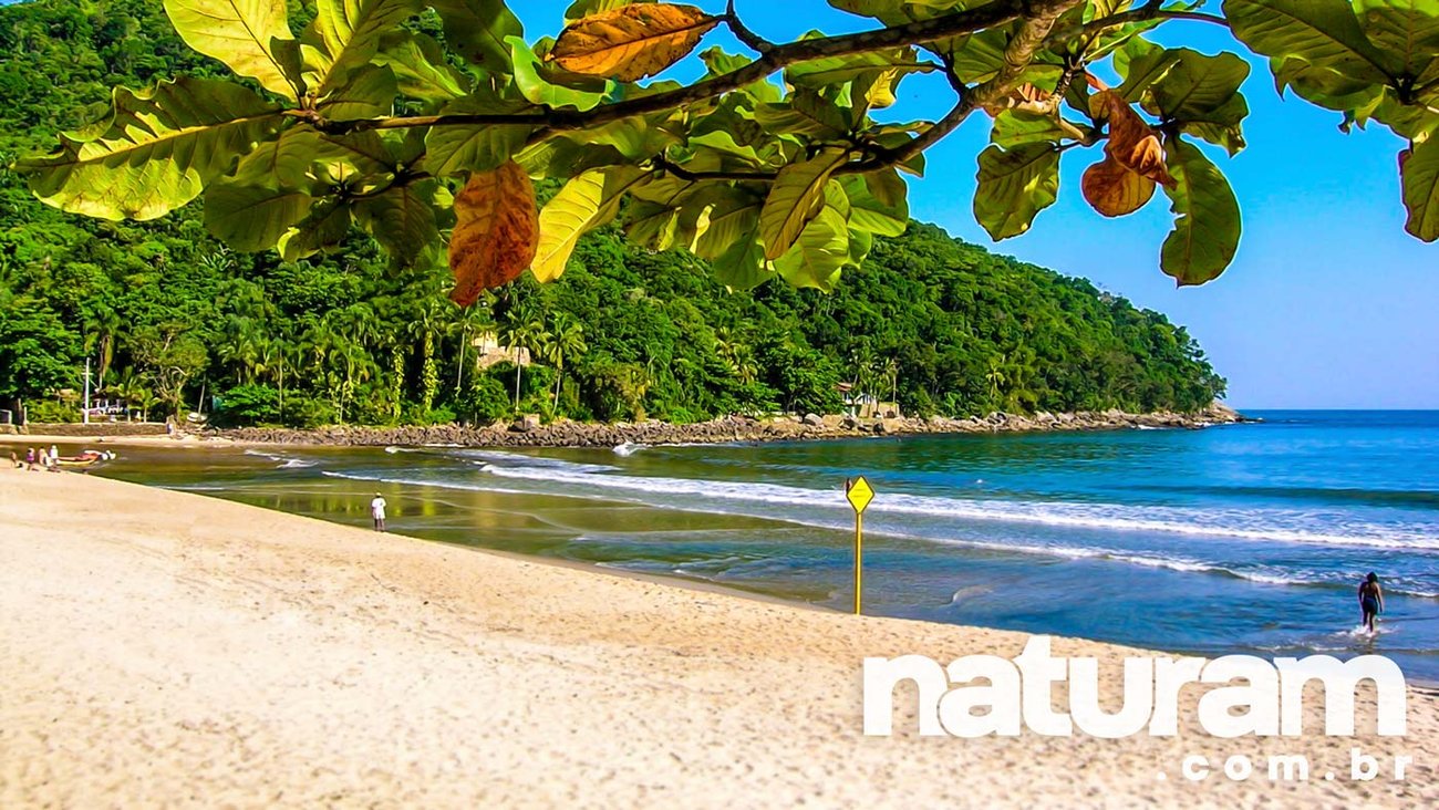 Guia completo da Praia Barra do Sahy: Tudo que você precisa saber antes de ir!
