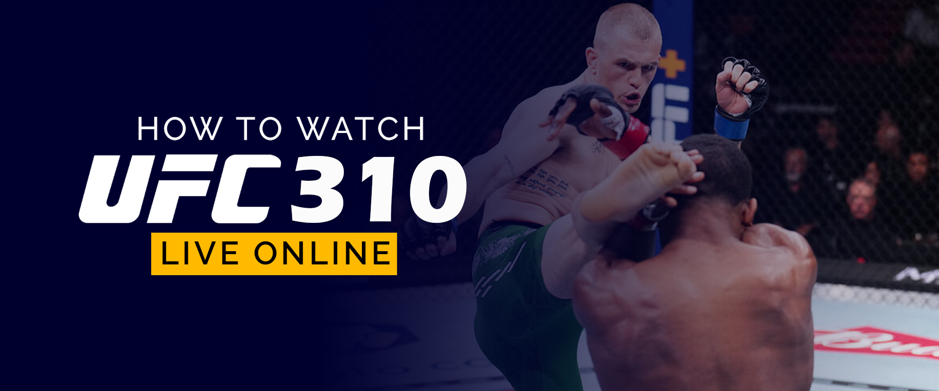 Assistir UFC online grátis é possível? Descubra aqui!