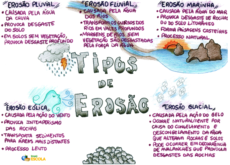 O que é Erosa? Descubra tudo sobre essa novidade!