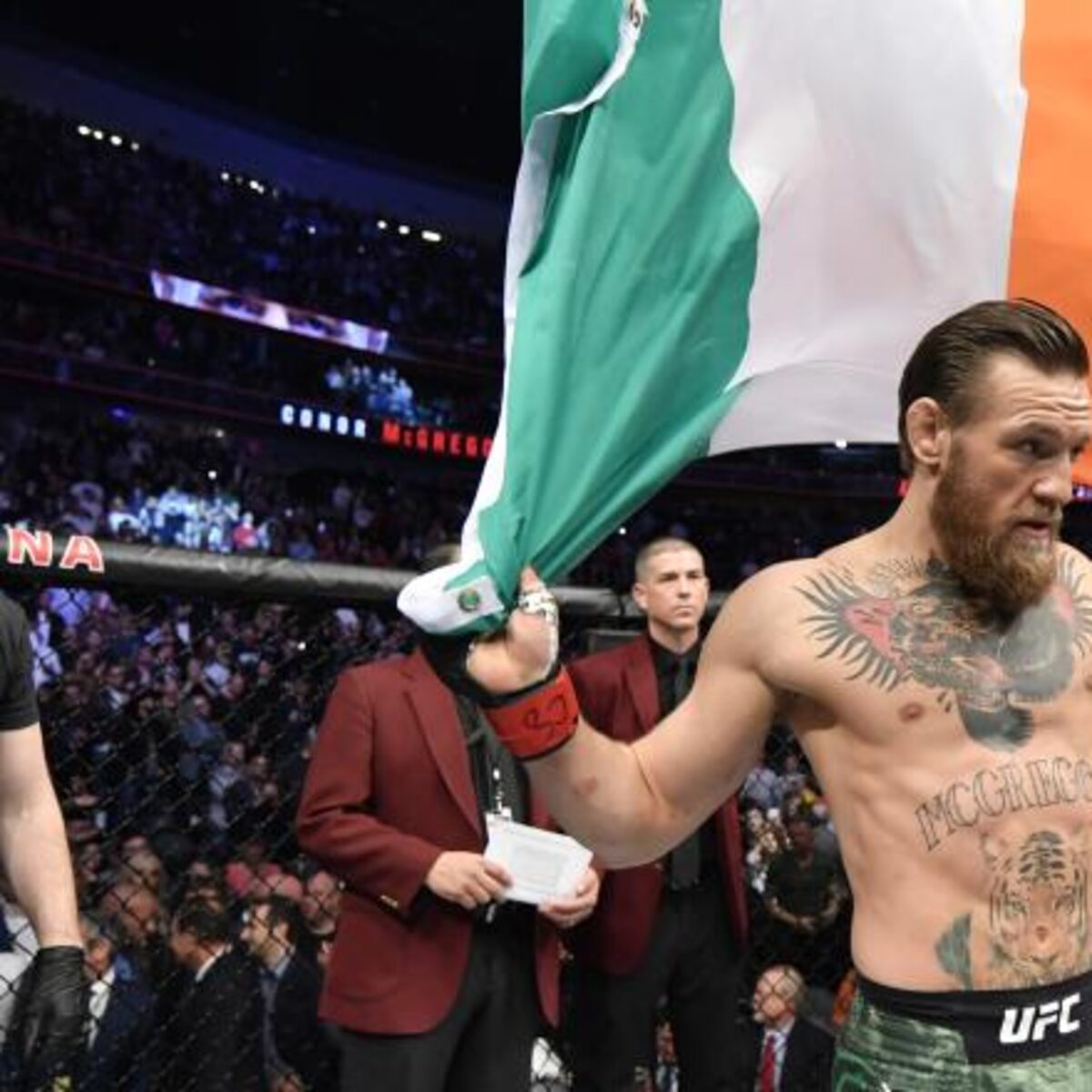 Notícias sobre Conor McGregor: Ele está de volta ao octógono?