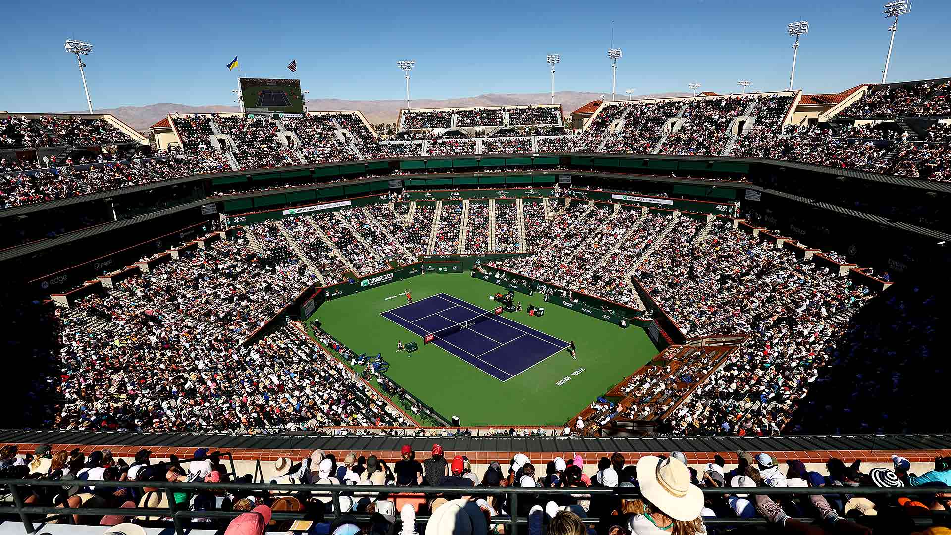 Indian Wells 2024 ao vivo: Guia completo para você acompanhar o torneio!