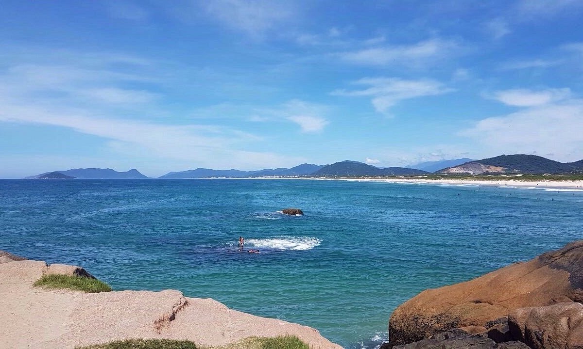 Praia da Joaquina 新闻汇总,你想知道的都在这里!