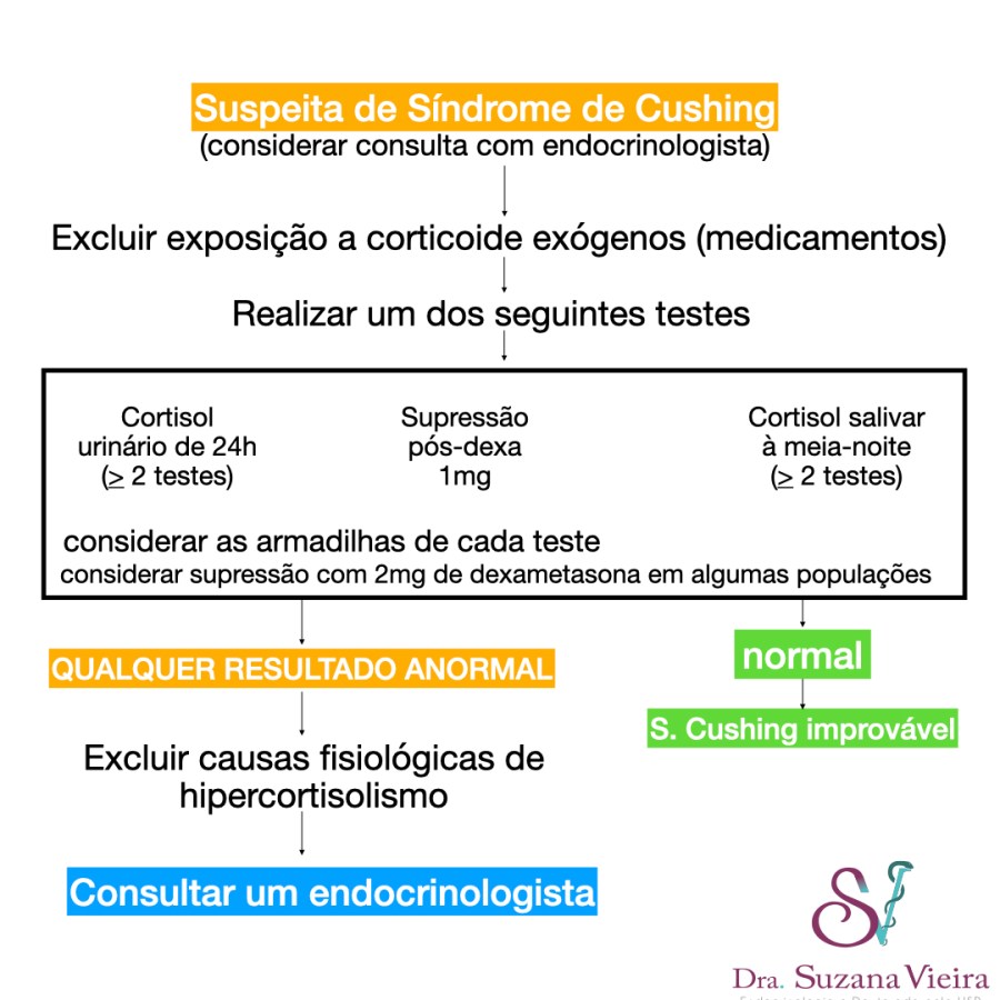 Como medir seu cortisol basal? Saiba mais sobre o exame!