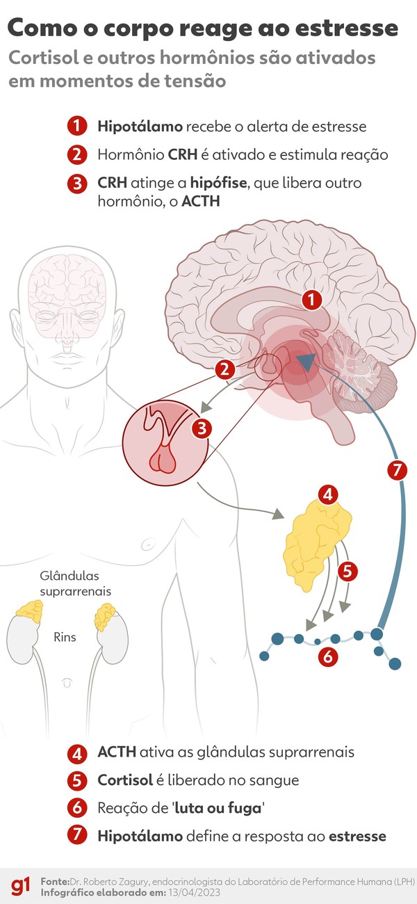 Como medir seu cortisol basal? Saiba mais sobre o exame!