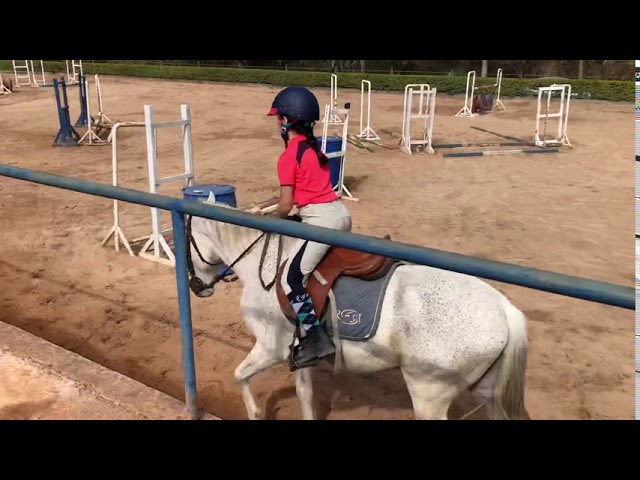 Aprenda Hipismo Saltos: Onde encontrar aulas e como escolher a melhor escola para você!