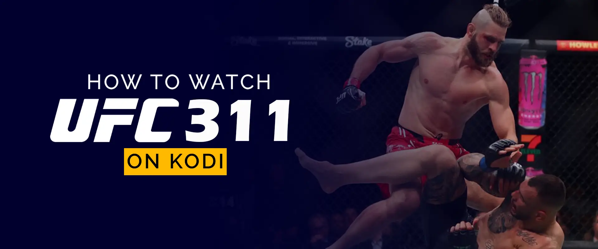 Não perca nenhuma luta! Saiba como assistir UFC ao vivo online.