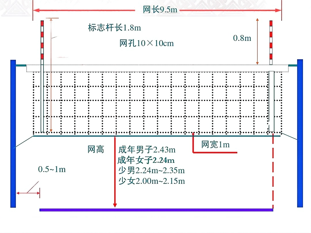 男子排球网高度是多少米?快来了解一下吧!