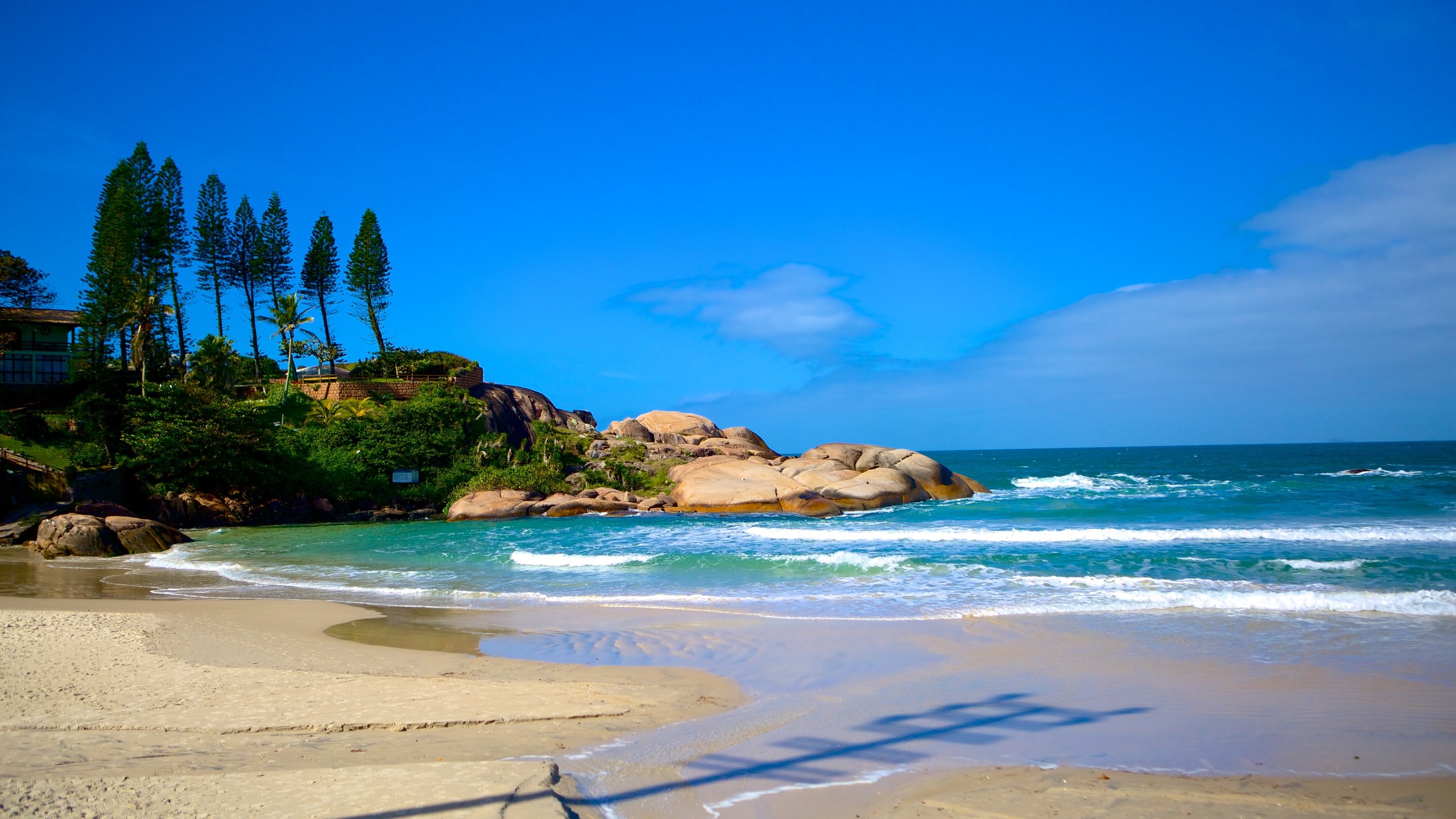 Praia da Joaquina 新闻汇总,你想知道的都在这里!