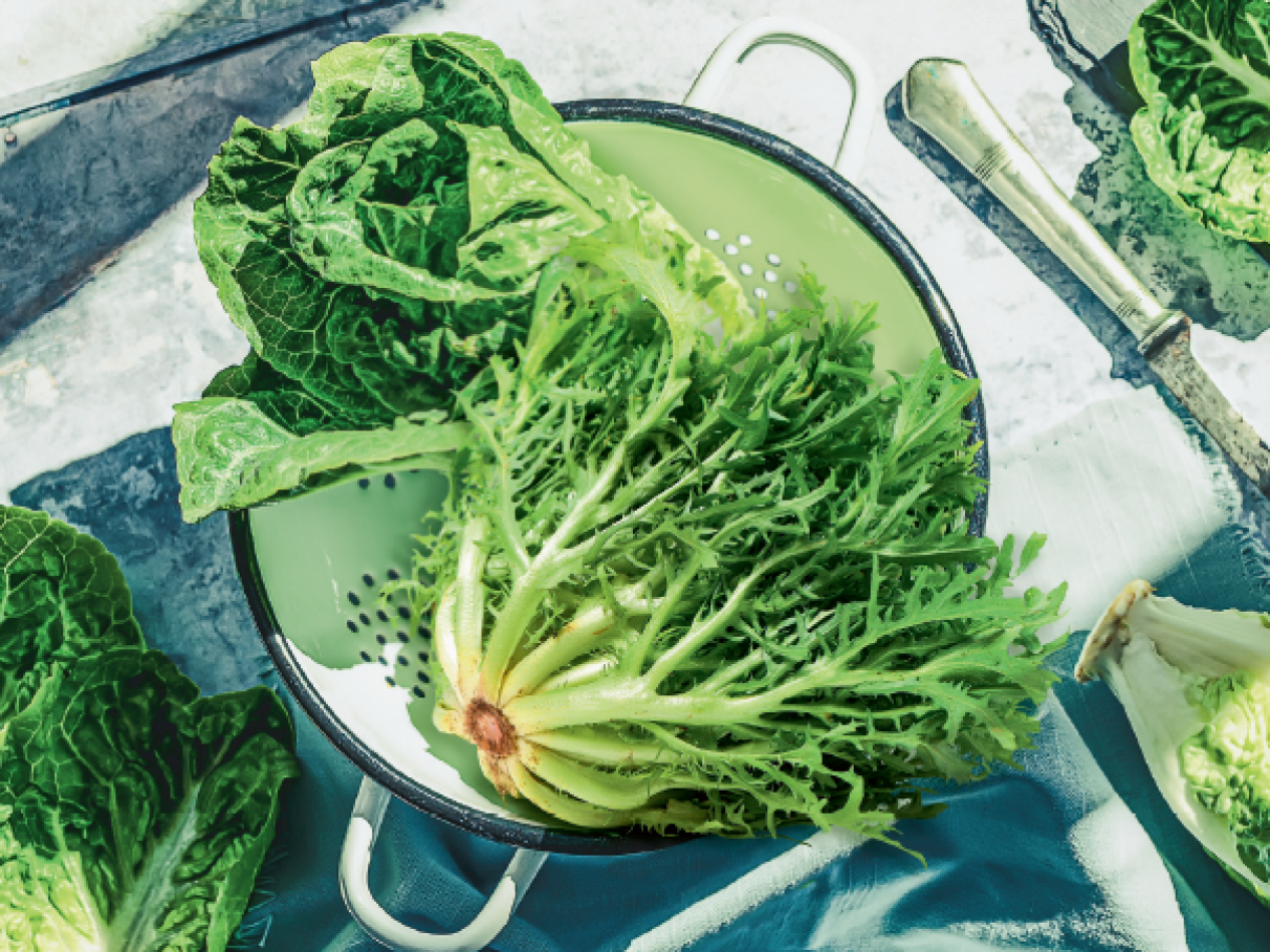 Hong Choi x outras verduras: qual a diferença? (Compare e escolha)