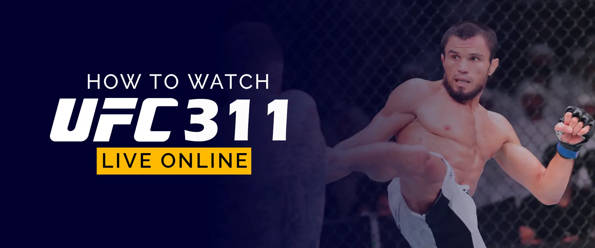 UFC ao vivo grátis online: Veja onde assistir às lutas agora mesmo!