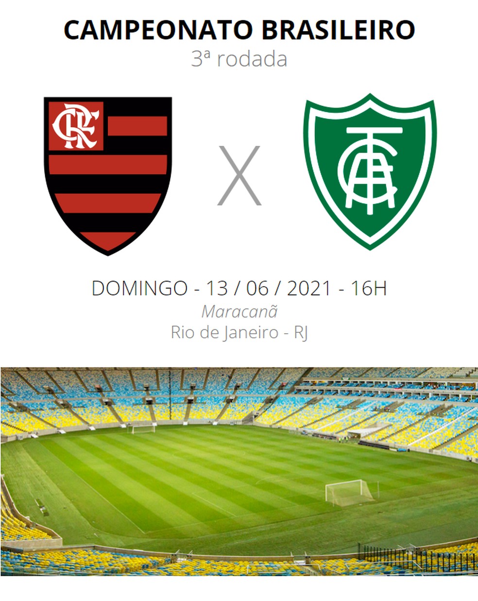 Avaliação dos jogadores: Confira as notas de América-MG e Flamengo.