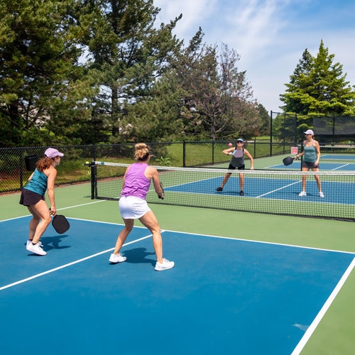 Pickleball em Alta: Quem Dominará o Mundo e Como Começar a Jogar?