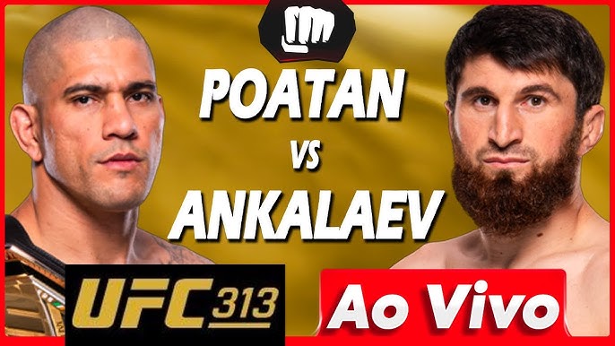 Quer assistir combate UFC ao vivo? Veja os melhores lugares para não perder nenhuma luta!