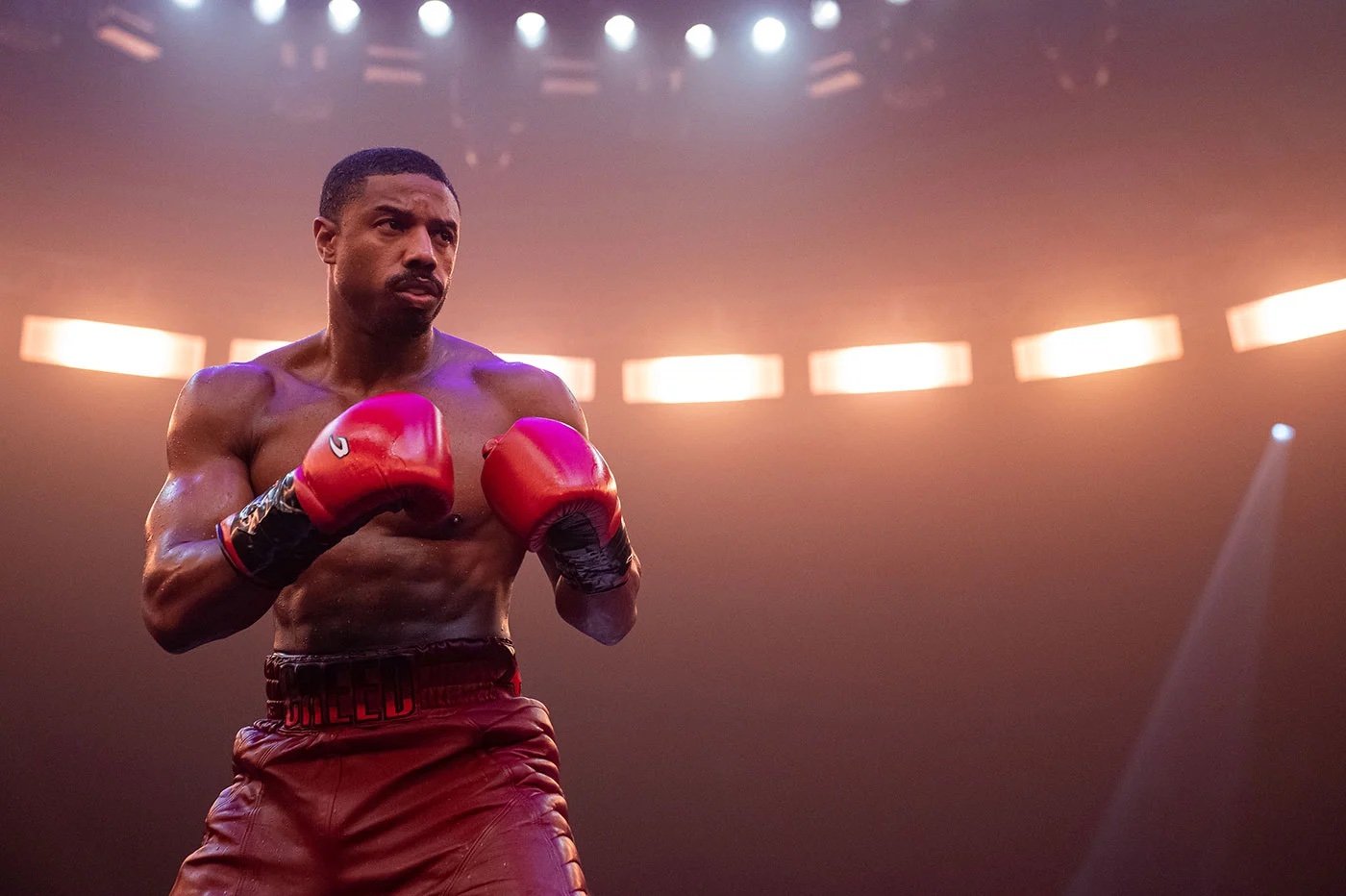 Peso de Michael B Jordan: Guia completo de valores e onde encontrar