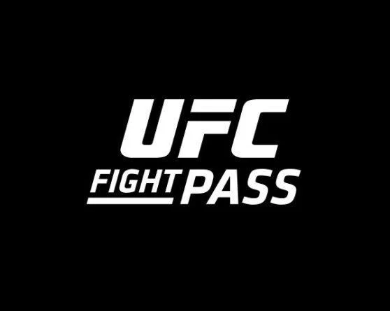 Ufc ao vivo assistir online é possível? Sim, confira as formas legais e práticas!