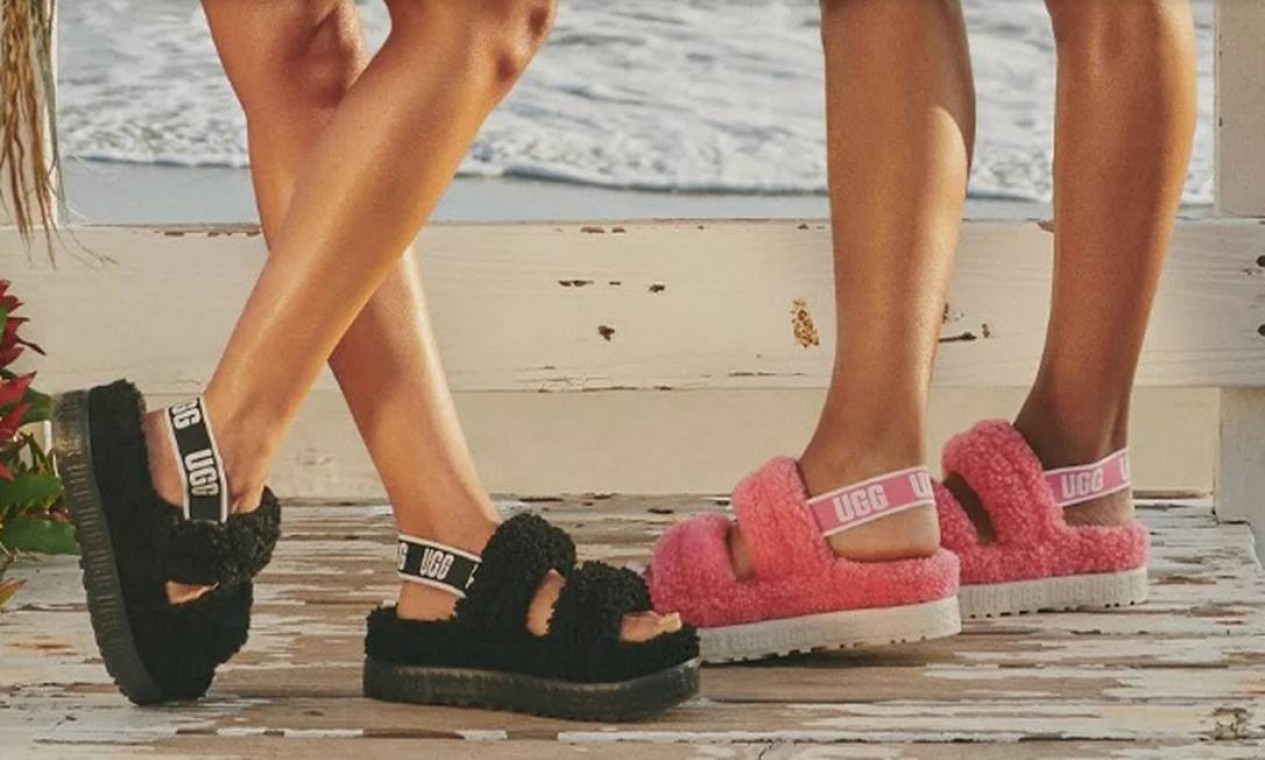 Shoey: A moda bizarra de beber em sapatos virou febre!