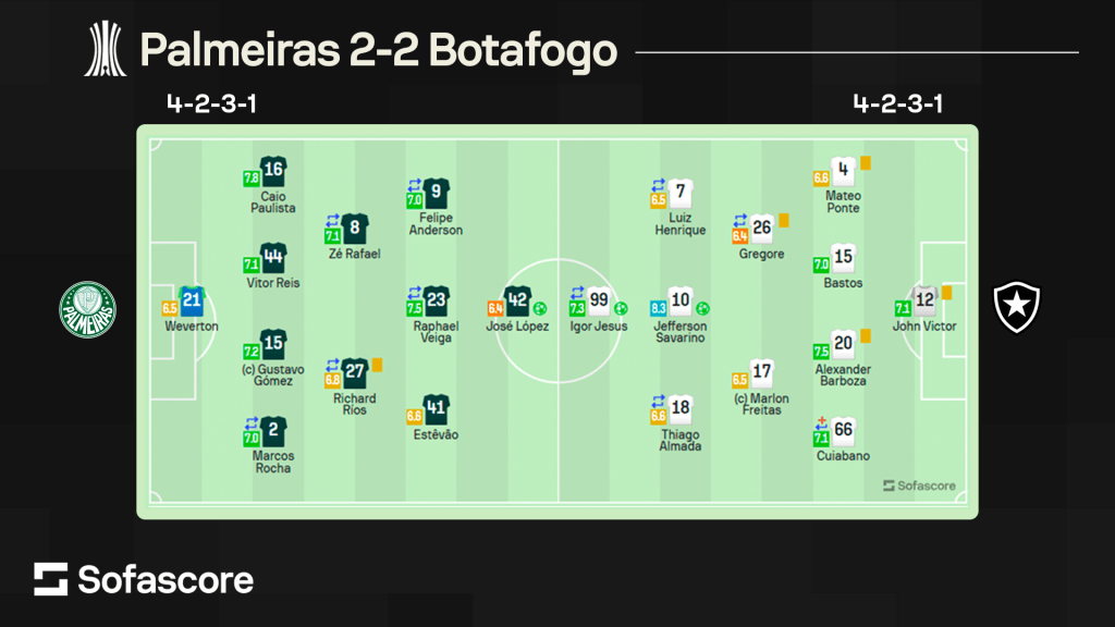 Classificações dos jogadores de Botafogo x Palmeiras: Quem se destacou?