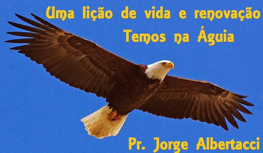 O que são as 15 águias? Entenda tudo de forma bem simples.