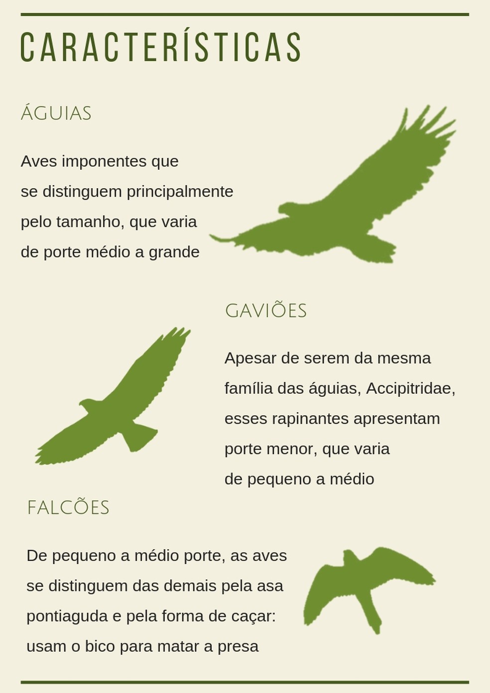 O que são as 15 águias? Entenda tudo de forma bem simples.