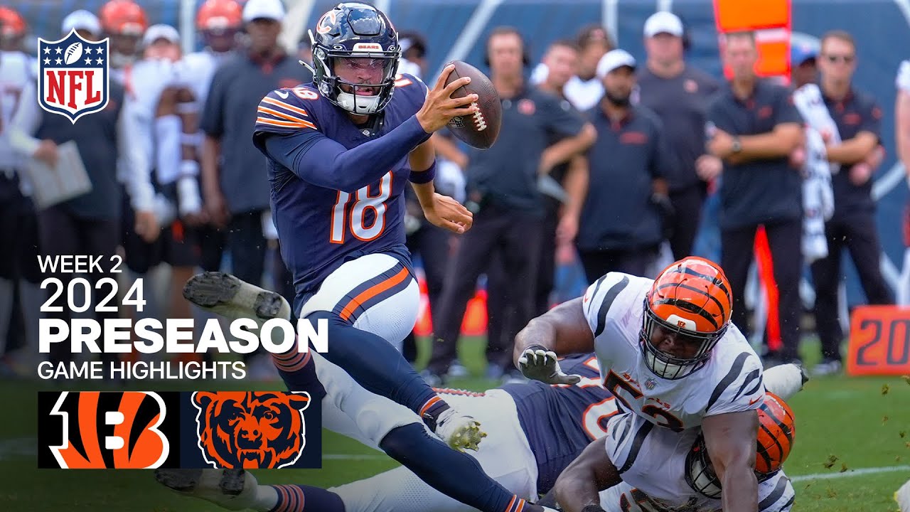 Estatísticas da partida: Destaques de Bears x Bengals.