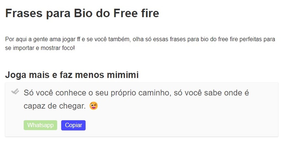 ff bio: O que colocar na sua ff bio? Veja exemplos que funcionam bem.