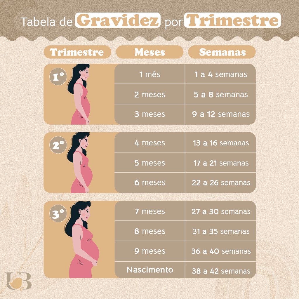 Tabela de semana: como faz? Guia prático e rápido!