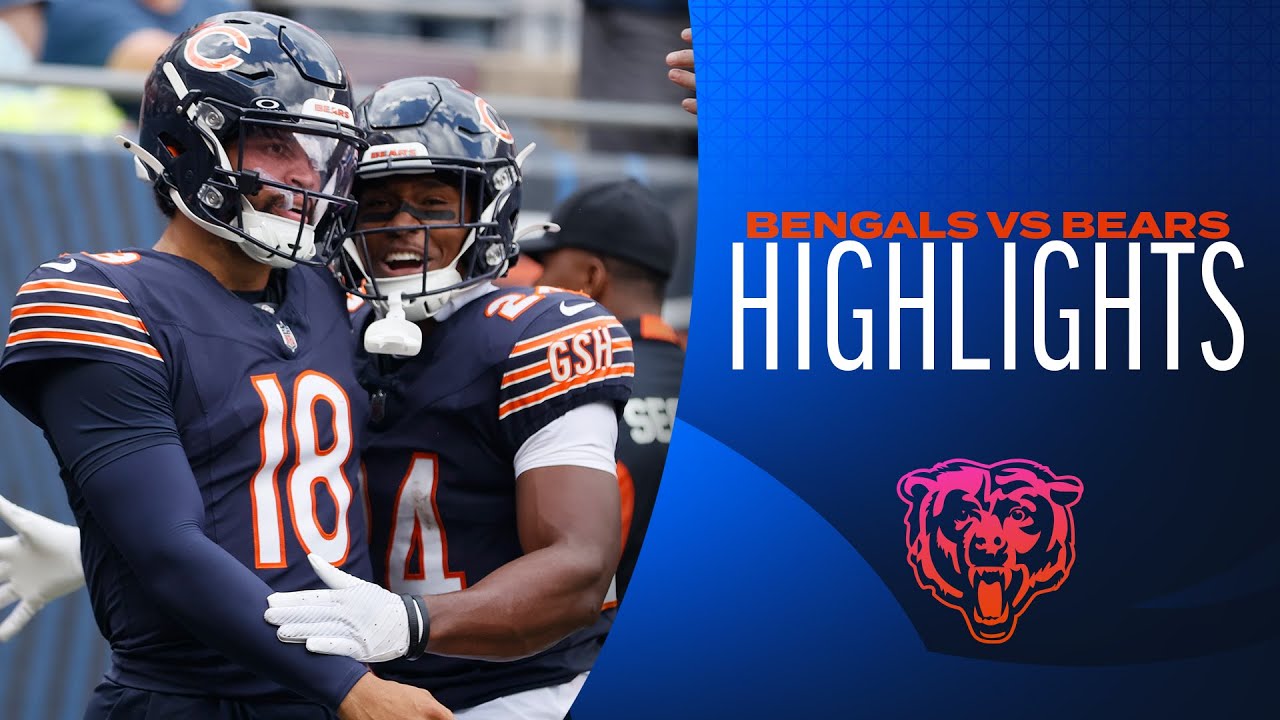Estatísticas da partida: Destaques de Bears x Bengals.