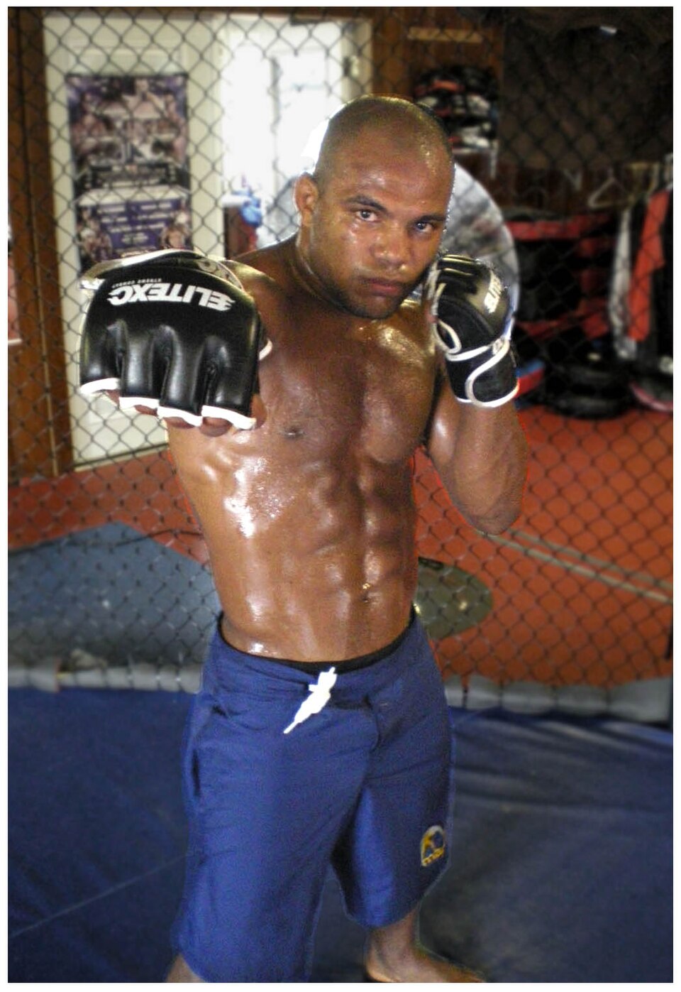Wilson Reis: Técnicas de luta? Descubra os segredos do seu jiu-jitsu afiado.