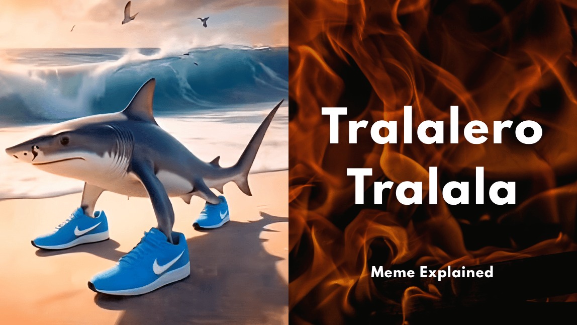 Tubarão meme: A origem? Descubra!