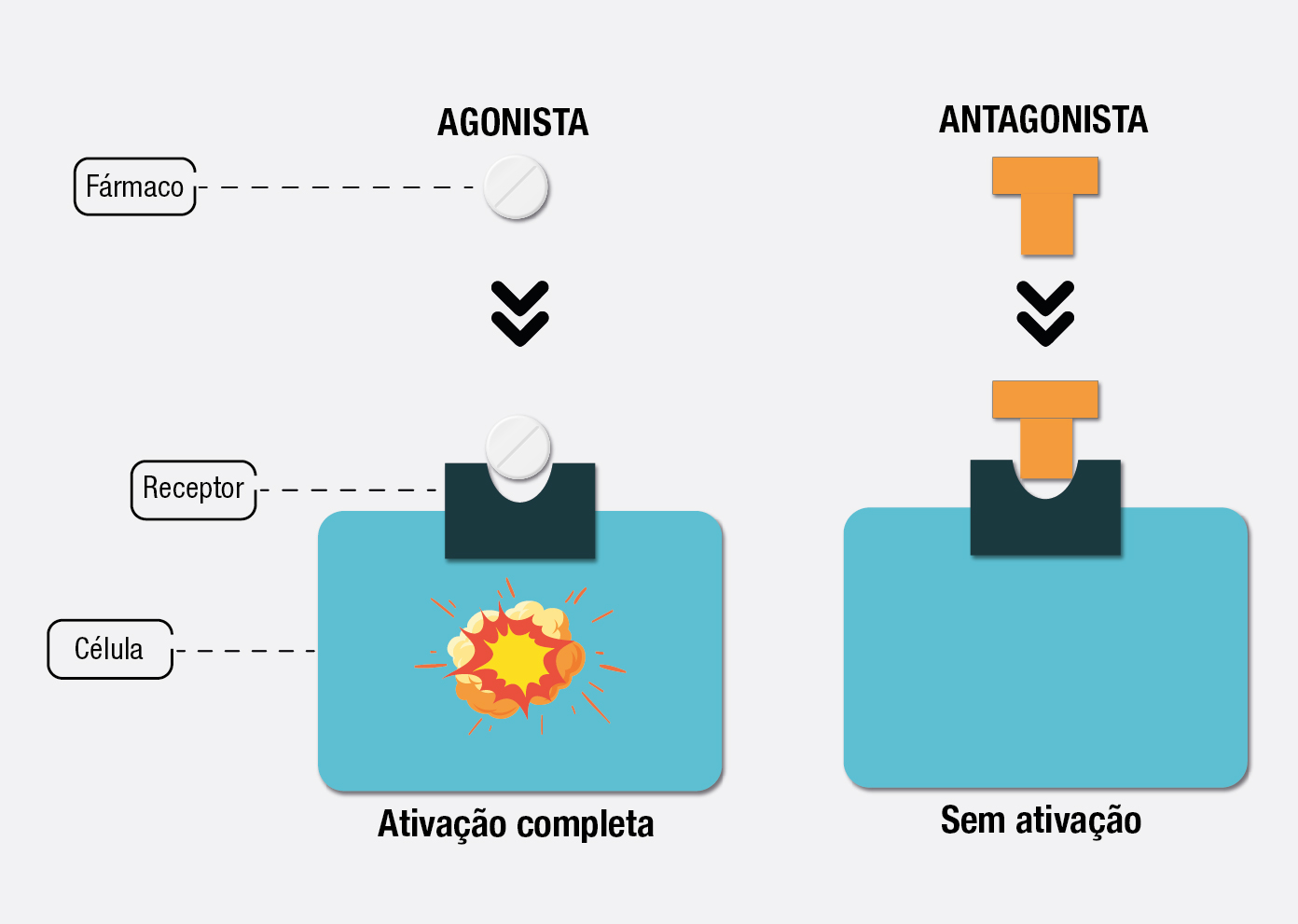Ostarine: o que é? Entenda este SARM.