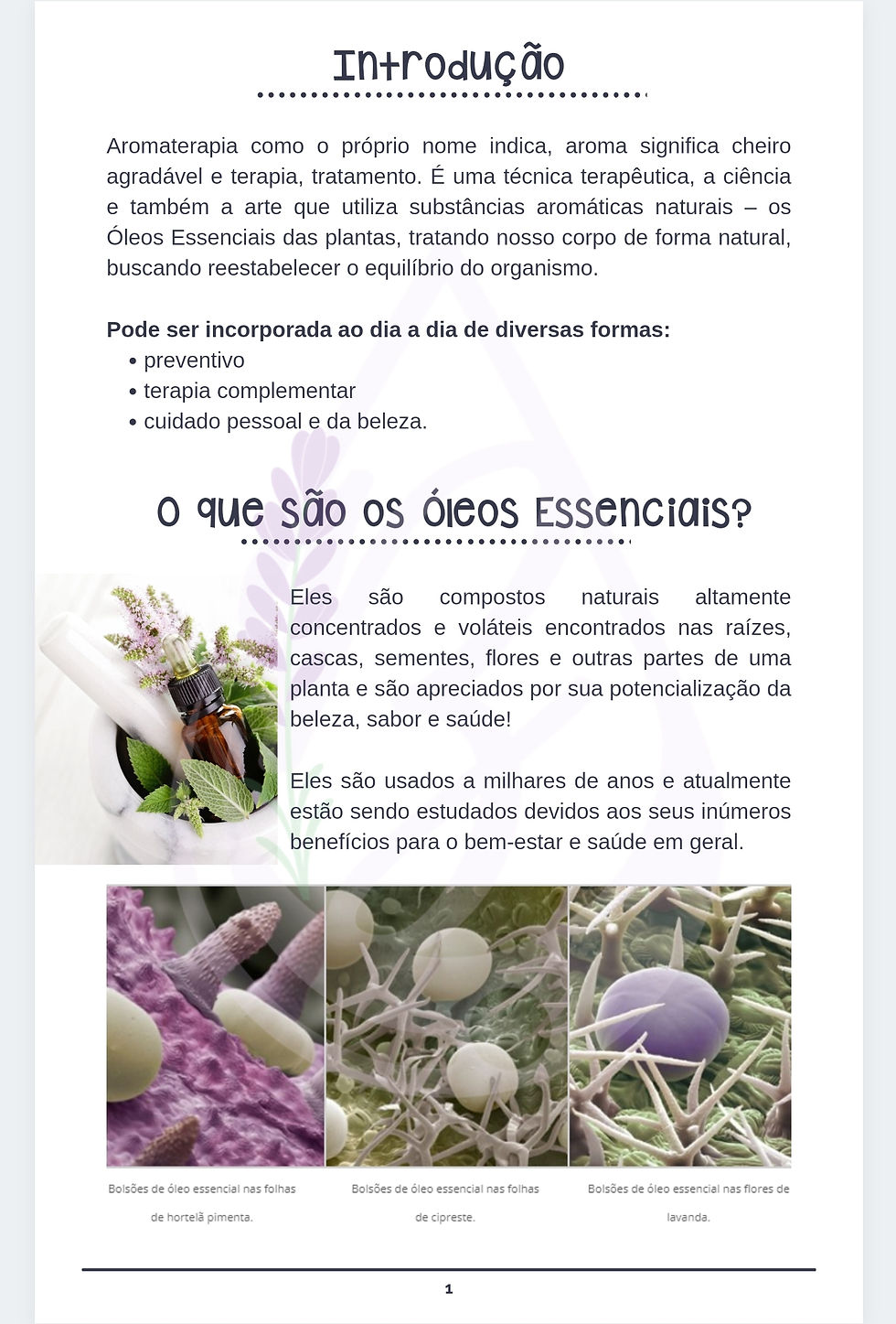 TL3 para iniciantes: Guia básico com 4 dicas essenciais