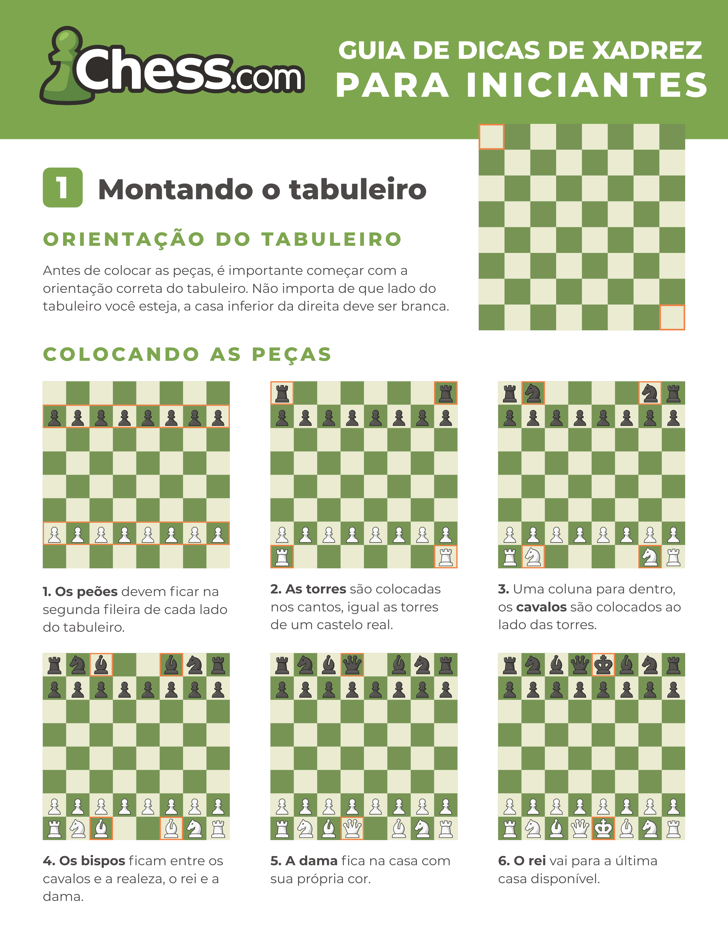 Como Usar o Green Passo a Passo? Guia Rápido Para Iniciantes