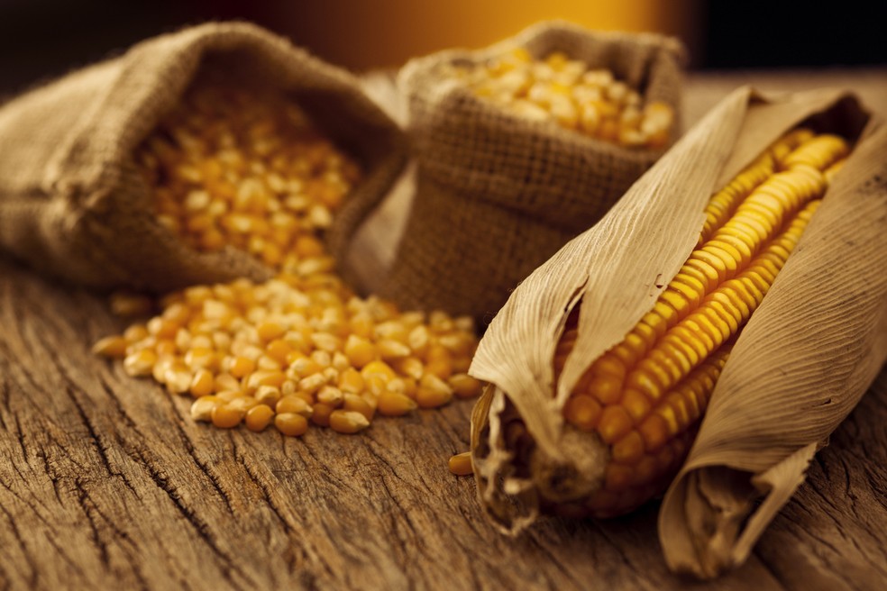 Alternativas ao carboidrato do milho? Conheça 4 opções nutritivas hoje!